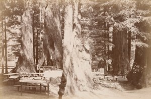  od Carleton Watkins