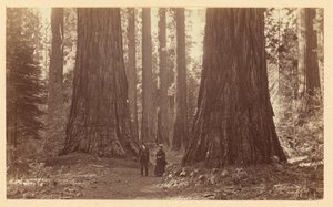  od Carleton Watkins