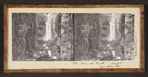 Jarní pád. 300 stop Yo Semite od Carleton Watkins