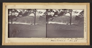Pohled z areálu pana Freundta, Mendocino od Carleton Watkins
