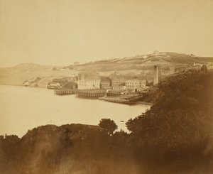 [Vlnařská továrna, San Francisco]