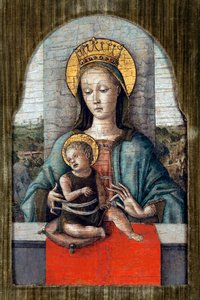 Panna a dítě par Crivelli, Carlo (asi 1435-asi 1495). Tempera na panelu, rozměr: 28x18, cca 1455, Cini Foundation, Benátky od Carlo Crivelli