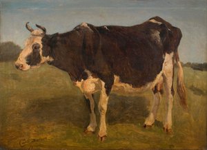 Černobílá stojící kráva. Studie. od Carlo Dalgas