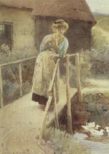 Pozorování Kachny od Carlton Alfred Smith