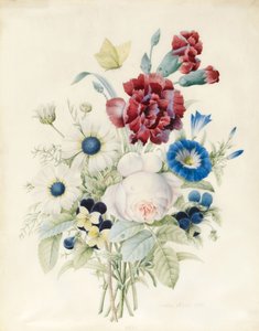 Sprej květin včetně růže, modrého konvolvulu a macešek, 1830 (wc a tělová barva na papíře)