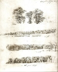Studie stromů 1809 od Caspar David Friedrich
