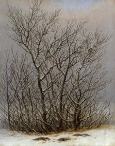 Keře ve sněhu od Caspar David Friedrich
