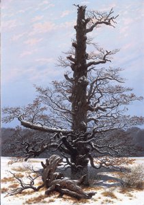 Německy: Eichbaum im Schnee Dub na sněhu od Caspar David Friedrich