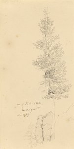 Německy: Studie mit Fichten und Felsen Studie smrků a skály od Caspar David Friedrich