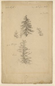 Německy: Zwei Tannenstudien Dvě studie jedlí od Caspar David Friedrich
