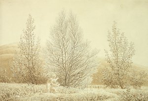 Jaro (tužka a sépie na papíře) od Caspar David Friedrich