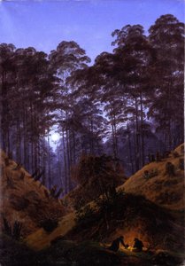 Lesní nitro za měsíčního svitu od Caspar David Friedrich