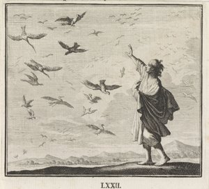 Emblém: ptáci od Caspar Luyken