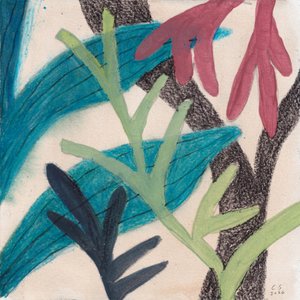 Barevné abstraktní listy od Catalina Somolinos