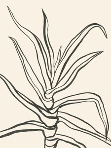 Minimalistický náčrt rostliny