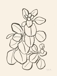 Kresba listu v organickém stylu