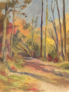 Klidná podzimní stezka