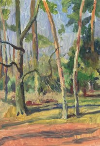 Lesní stezka zalitá sluncem