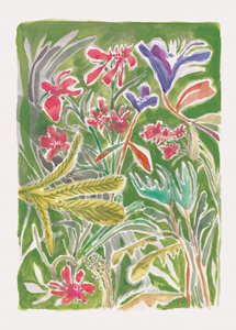 Živá divoká zahrada od Catalina Somolinos