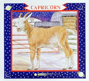 Kozoroh (wc na papíře) od Catherine Bradbury