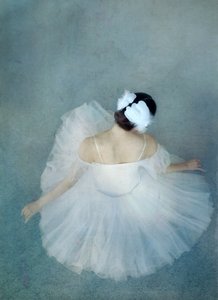 Elegantní balerína Swan od Catherine Wang