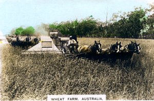 Pšeničná farma Grenfell, Austrálie, 20. léta 20. století.