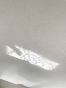 Kompozice - Reflections, 2019 (foto) od Cécile Jamet