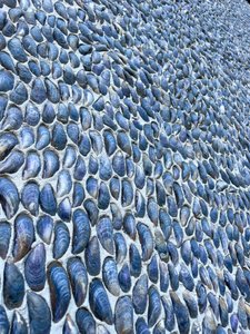 Kompozice - Textura, 2024 (foto) od Cécile Jamet