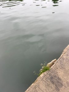 Složení, 2019 (foto)