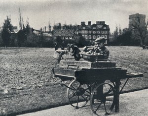 Brambory v Kew Gardens, 1941 od Cecil Beaton