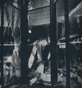 Vitríny v Natural History Museum, 1941 od Cecil Beaton