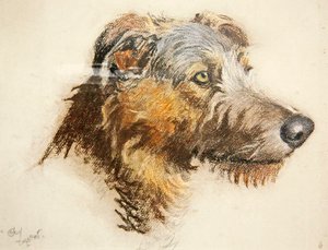 Skotský jelení honič (pastel na tónovaném papíře) od Cecil Charles Windsor Aldin