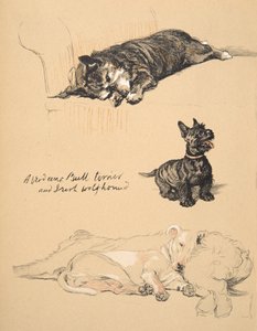 Aberdeens, bulteriér a irský vlkodav, 1930, ilustrace z jeho Sketch Book použité pro Just Among Friends, Aldin, Cecil Charles Windsor (1870-1935), později vydal Eyre a Spottiswoode Li od Cecil Charles Windsor Aldin