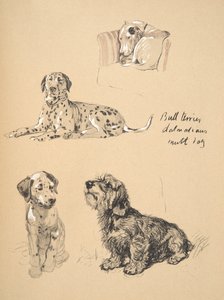 Bull Terrier, Dalmatians and Mutt Dog, 1930, ilustrace z jeho Sketch Book použité pro Just Among Friends, Aldin, Cecil Charles Windsor (1870-1935), později vydal Eyre and Spottiswoode Limited, od Cecil Charles Windsor Aldin