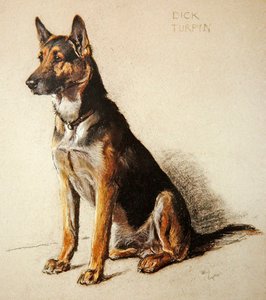 Dick Turpin (pastel na tónovaném papíře) od Cecil Charles Windsor Aldin