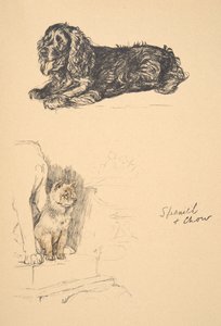 Spaniel and Chow, 1930, ilustrace z jeho Sketch Book použité pro Just Among Friends, Aldin, Cecil Charles Windsor (1870-1935), později vydal Eyre and Spottiswoode Limited, 1934, Chalk and Char od Cecil Charles Windsor Aldin