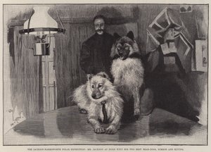 Polární expedice Jackson-Harmsworth, pan Jackson doma se svými dvěma nejlepšími medvědími psy, Nimrodem a Ravingem od Cecil Charles Windsor Aldin