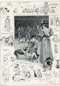 Výstava psů Kennel Clubu v Crystal Palace od Cecil Charles Windsor Aldin