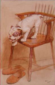 Chcete-li se naučit vypočítat výšku objektů, z jejichž vrcholu můžete skákat od Cecil Charles Windsor Aldin
