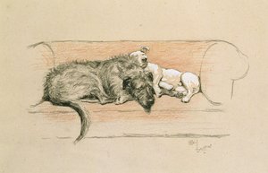 Vlkodav a bulteriér spí na pohovce (pastel na papíře) od Cecil Charles Windsor Aldin