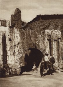 Mexiko: Oaxaca, Tuberia espanola (černobílá fotografie)