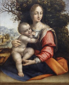 Madonna a dítě (Naše paní ze stromu)