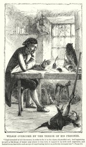 Wilson překonán hrůzou svého vězně (rytina) od Charles Altamont Doyle