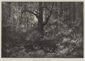 Srdce lesa od Charles Auguste Loye