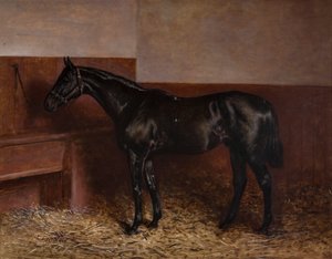 Chippendale ve volné krabici od Charles Augustus Henry Lutyens