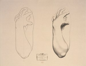 Bent Arm of a Woman, deska 22 z Cours de Dessin Volume I, Modeles dapres la bosse, c.1868