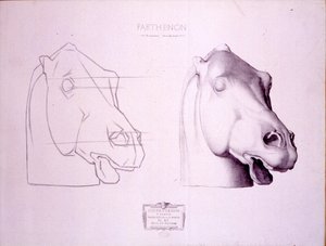Koňská hlava ze západního štítu Parthenonu, deska 47 z Cours de Dessin, kolem roku 1898