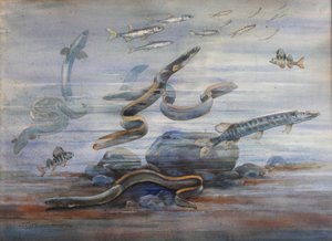 Mořská ryba, cca 1907 (akvarel)