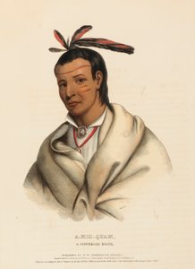 A-MIS-QUAM, WINNEBAGO BRAVE., z knihy Dějiny indiánských kmenů Severní Ameriky od Charles Bird King