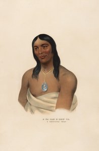 A-na-cam-e-gish-ca od Charles Bird King